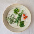 ベランダ家庭菜園で